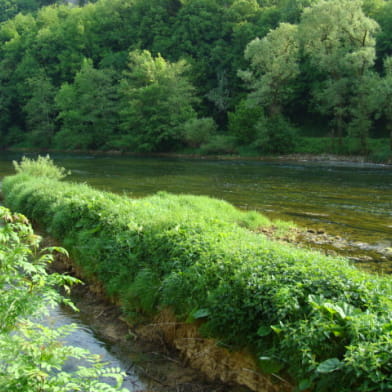 Le Moulin