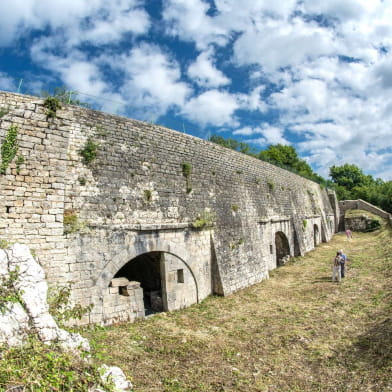 POUILLEY-LES-VIGNES