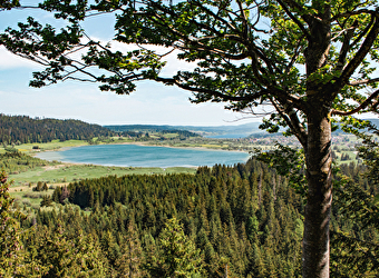 Belvédère des deux Lacs - BREY-ET-MAISON-DU-BOIS