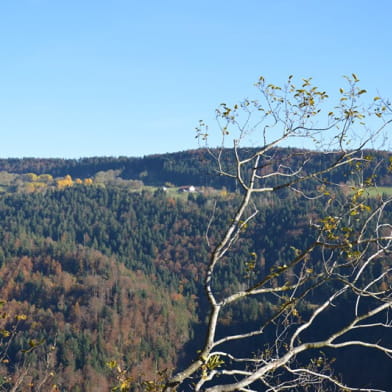 Belvédère des Vieilles Femelles