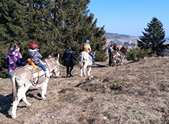Genti’Ânes du Haut Doubs - CHAUX-NEUVE