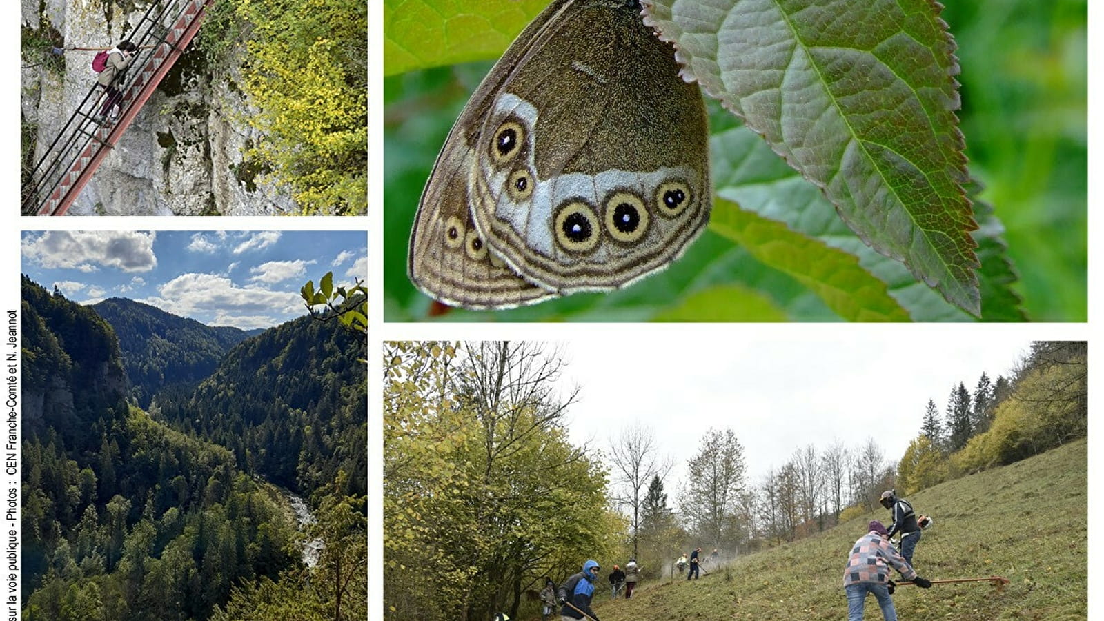 Chantier d'automne • Un chantier perché !