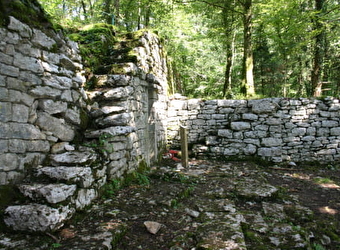 Site Carrier - site archéologique - BAUME-LES-DAMES