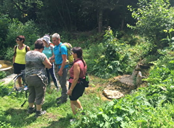 Patrick Bruot accompagnateur en Pays de Maîche et du Russey - MAICHE