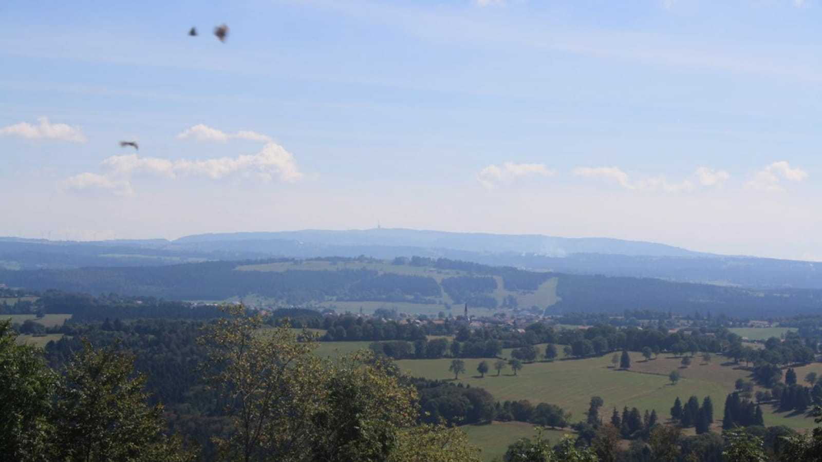 Point de vue Le Faux Verger