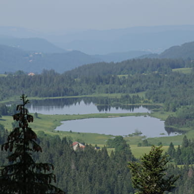 Belvédère - Roche Champion et Roche Bernard