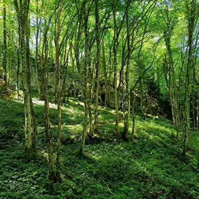 Grotte de la Tante Airie