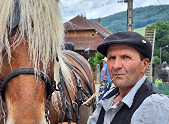Mors Attelage - MORRE