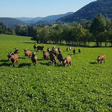Ferme Auberge de Fremondans