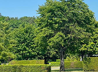 Camping municipal des Grands Ansanges - MANDEURE