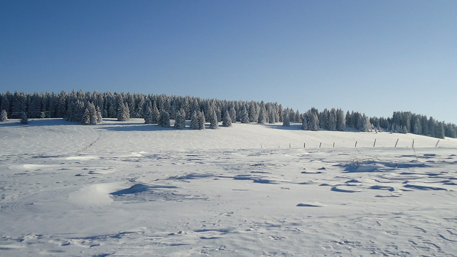 Chalet 29 A - Les Campanules