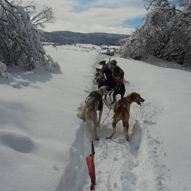 Ecole de traîneaux - Too Mush