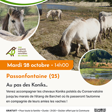 Sortie nature ' Au pas des Koniks'