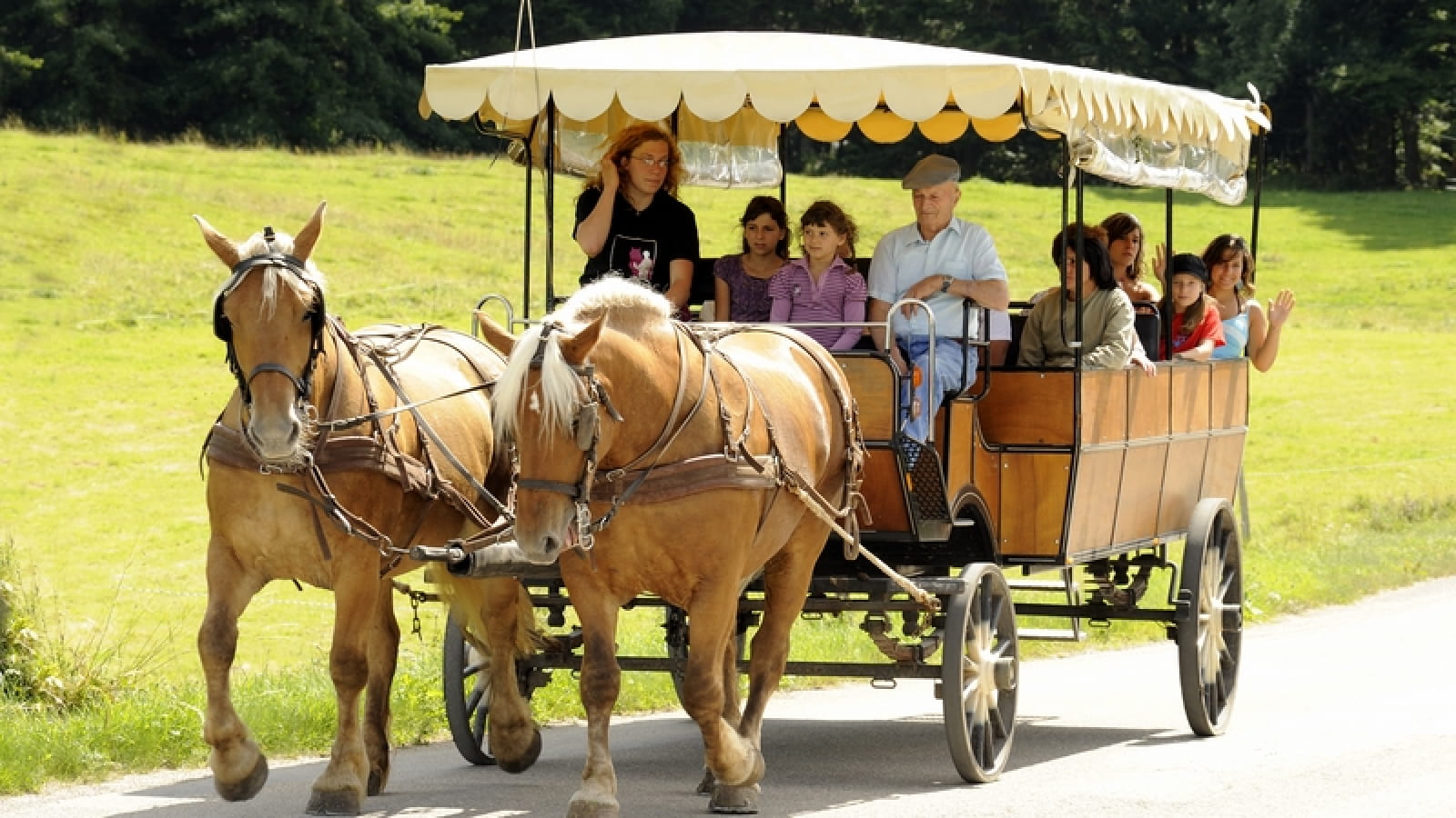 Les Calèches du Saut du Doubs