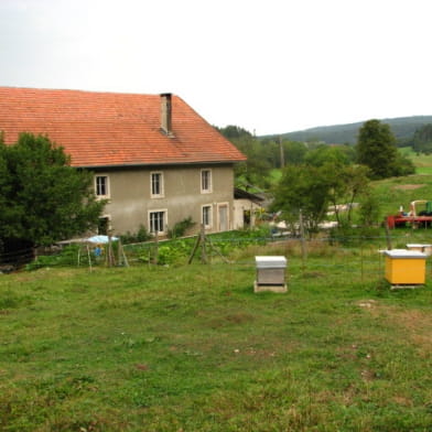 Appartement - Régis Deya