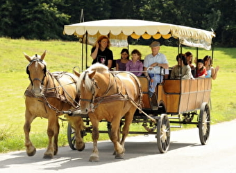 Les Calèches du Saut du Doubs - VILLERS-LE-LAC