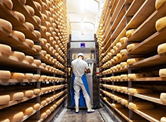 Fruitière à comté de Gilley - GILLEY