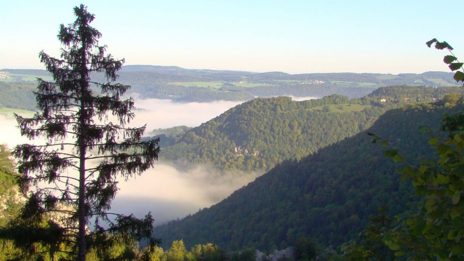 Point de vue la Rançonnière