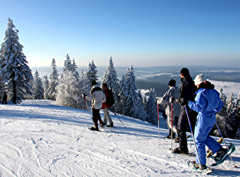 Balade raquettes familles : la forêt dans tous ses états - METABIEF