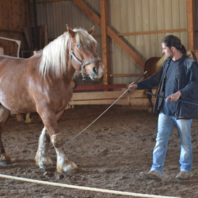 La Ferme des Comtois